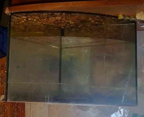 Аквариуи Донецк