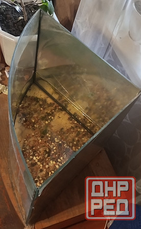 Аквариуи Донецк - изображение 2