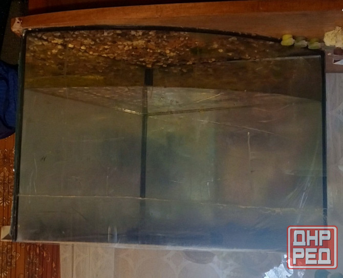 Аквариуи Донецк - изображение 1