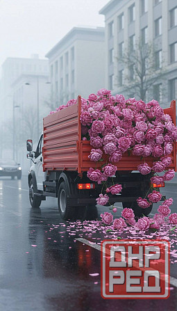 Вывоз строительного мусора. Услуги грузчиков. Донецк - изображение 3