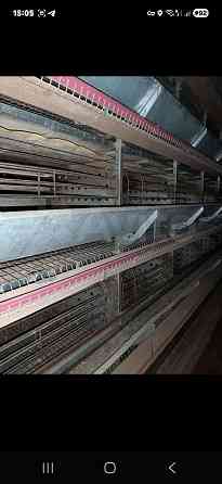 Продажа птицефабрики Волноваха