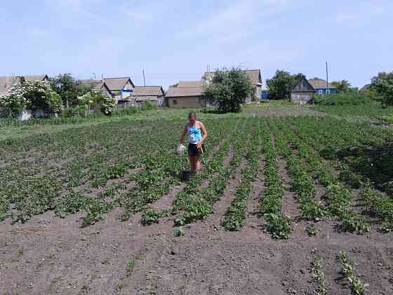 Хорошие люди, волосы робят Донецк