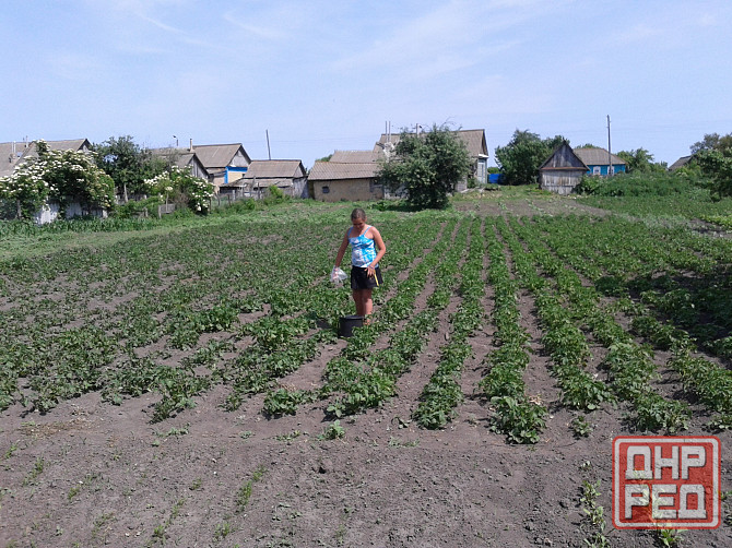 Хорошие люди, волосы робят Донецк - изображение 1