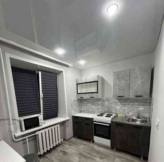 Ленинский р-н, ориентир Цирк. Донецк