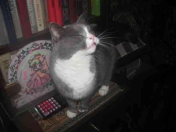 Как говорится, что на "блюдце" Донецк