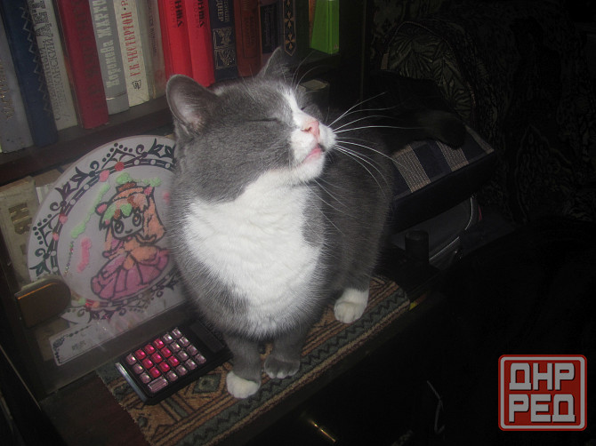 Как говорится, что на "блюдце" Донецк - изображение 1