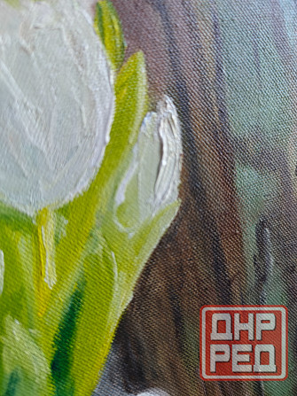 Картина маслом "Белые тюльпаны", 40×50 см, холст Донецк - изображение 3