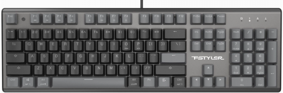 Клавиатура A4tech Fstyler Fs100 Neon механическая черный Usb For Gamer Led (Fs100) (арт-9813) Донецк