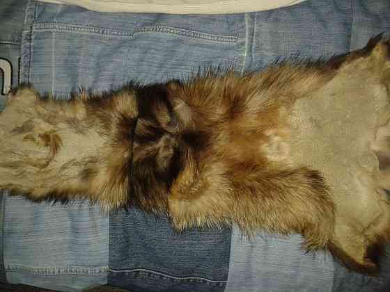 Отдам даром Донецк