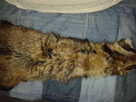 Отдам даром Донецк