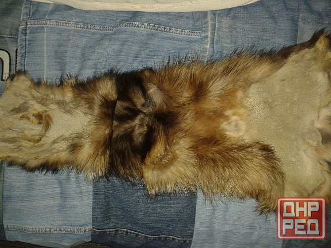 Отдам даром Донецк - изображение 2