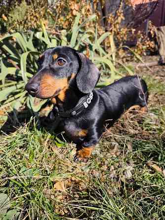 Вязка Донецк