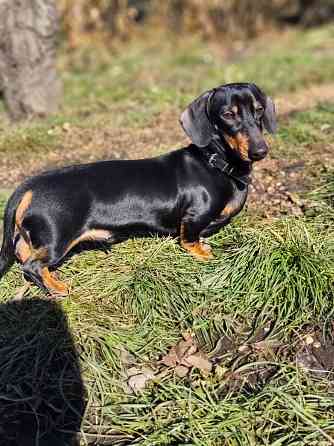 Вязка Донецк