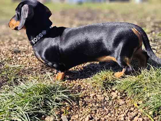 Вязка Донецк