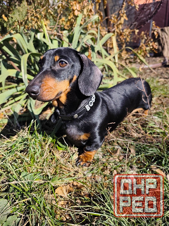 Вязка Донецк - изображение 3