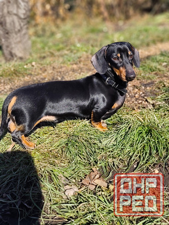 Вязка Донецк - изображение 1