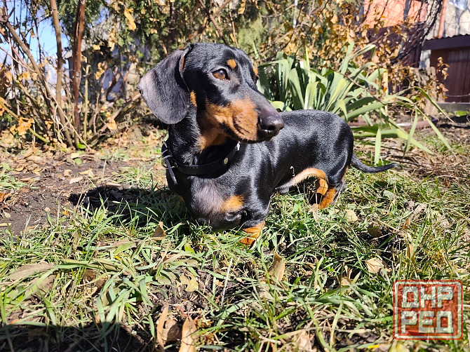 Вязка Донецк - изображение 2