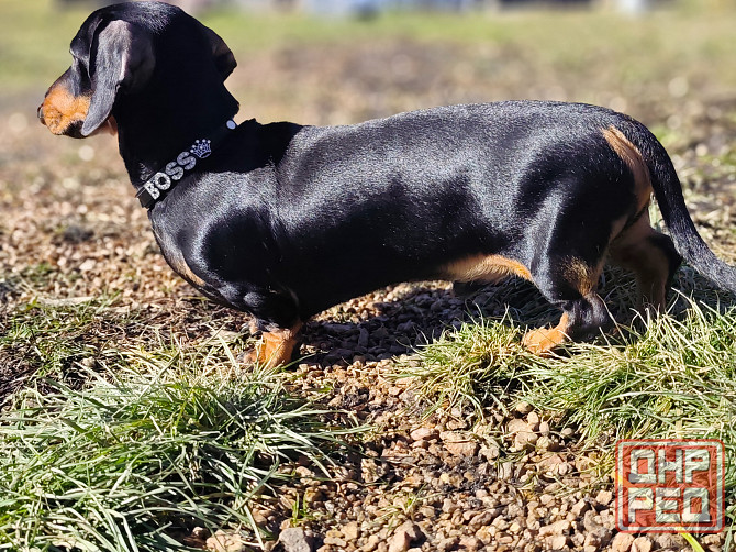 Вязка Донецк - изображение 4