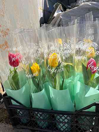 Тюльпаны к 8 марта Донецк