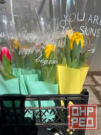 Тюльпаны к 8 марта Донецк - изображение 1
