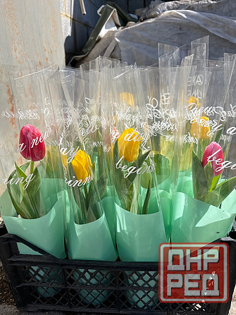Тюльпаны к 8 марта Донецк - изображение 2