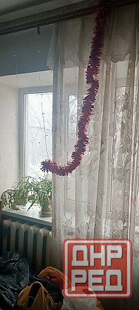 2-х комнатная квартира остановка Почта 2/4 Макеевка - изображение 1