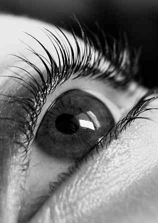 Брови и Ресницы в центре Донецка Донецк