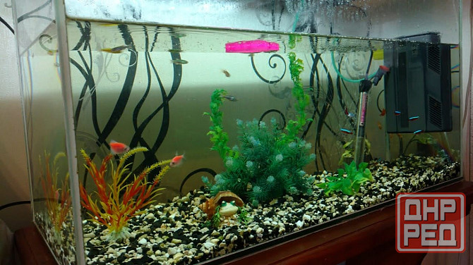 Продажа дома в Петровском районе, г. Донецк Донецк - изображение 7