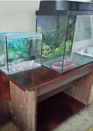 Продам аквариумы Донецк