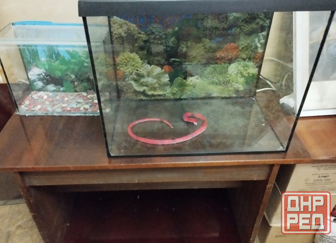 Продам аквариумы Донецк - изображение 1