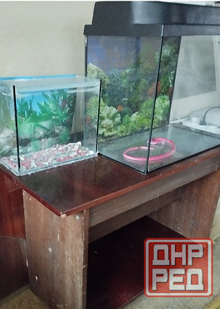 Продам аквариумы Донецк - изображение 2