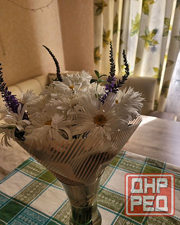 Калининский район, Медицинский университет Донецк - изображение 4