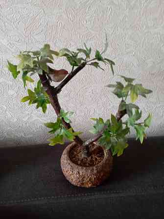 Декоративное дерево Макеевка