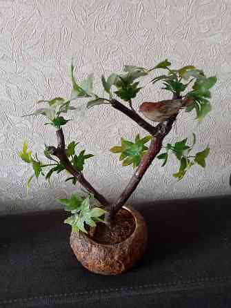 Декоративное дерево Макеевка