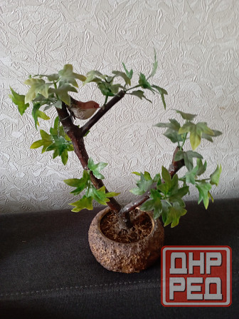 Декоративное дерево Макеевка - изображение 2