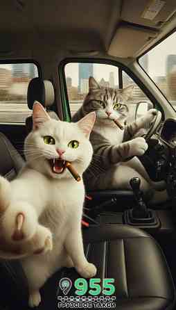 Грузовое такси .Услуги грузчиков. Донецк