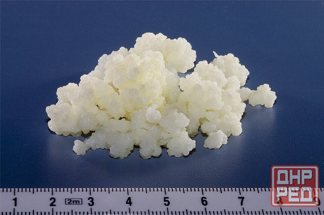 Молочный гриб Донецк - изображение 1