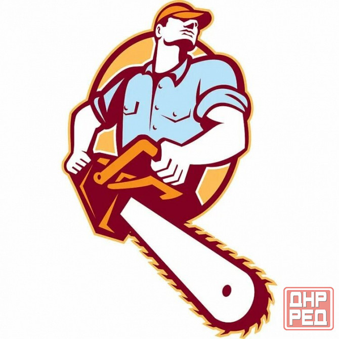 Спил деревьев Донецк - изображение 1