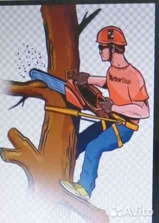 Спил деревьев Донецк