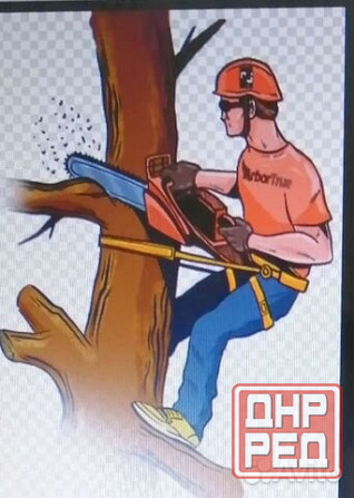 Спил деревьев Донецк - изображение 1