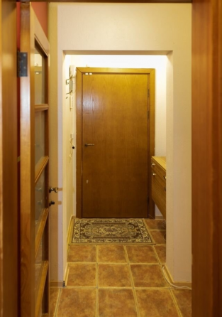 Сдается: Квартира-студия Район Киевский Район Донецк