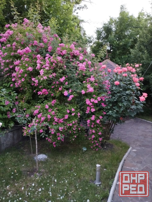 Продам отличный дом хорошее место Донецк - изображение 3