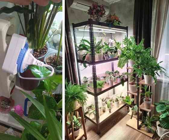 Розетка Feron с таймером Донецк