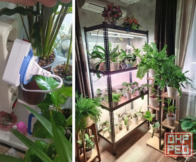 Розетка Feron с таймером Донецк - изображение 6