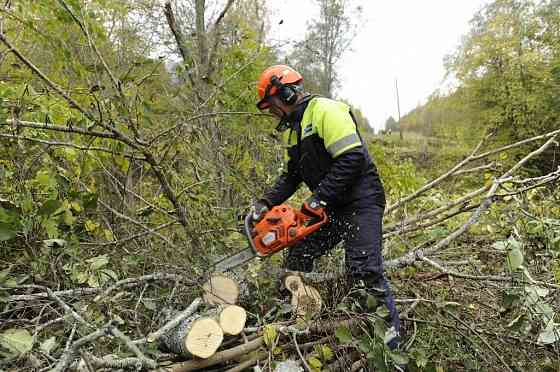 Спил деревьев , расчистка участков Луганск