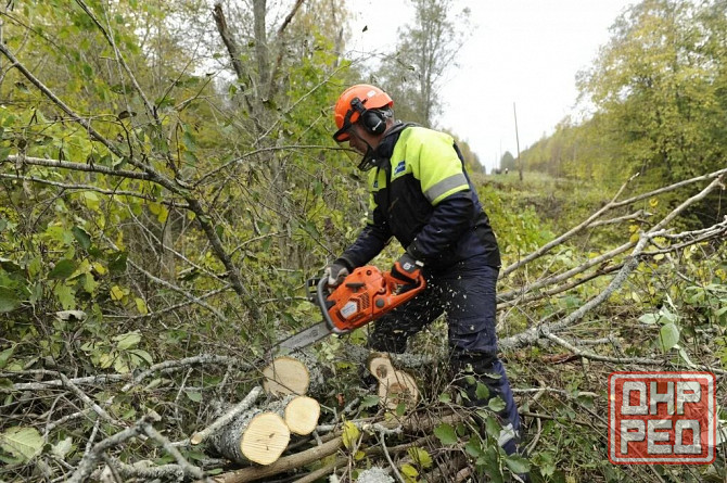 Спил деревьев , расчистка участков Луганск - изображение 1