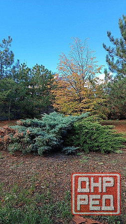 Продается уютный дом на Петровке Донецк - изображение 12