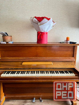 Отдам даром Донецк - изображение 1