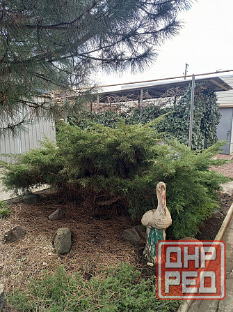 Продам дом в Ильичевском районе Мариуполь - изображение 11