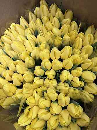 Тюльпаны Донецк Донецк